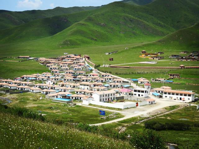 虫虫助手下载