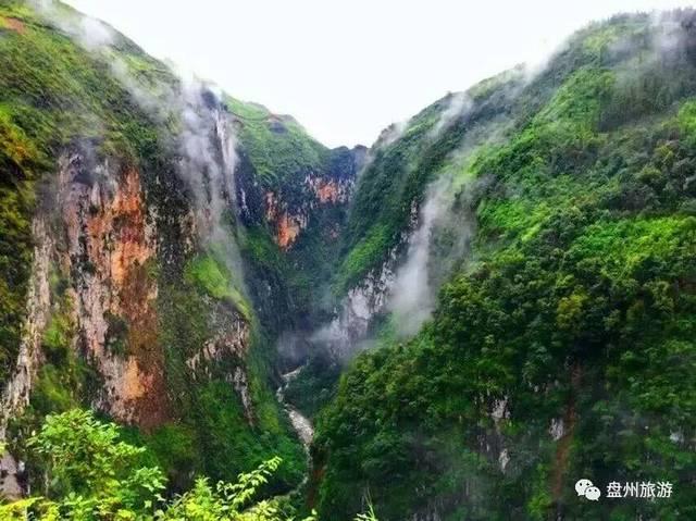 神秘图腾