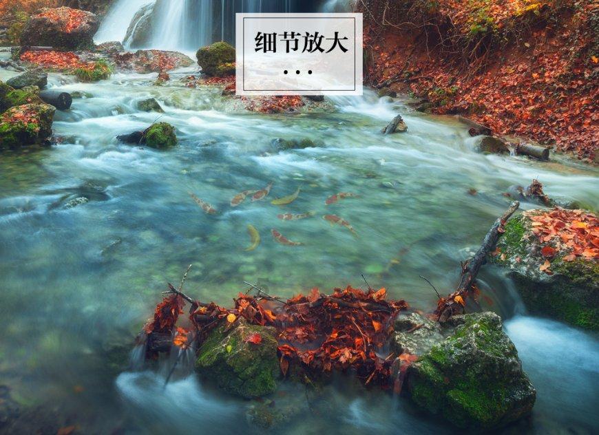 拱墅：全力打造人才向往科创高地