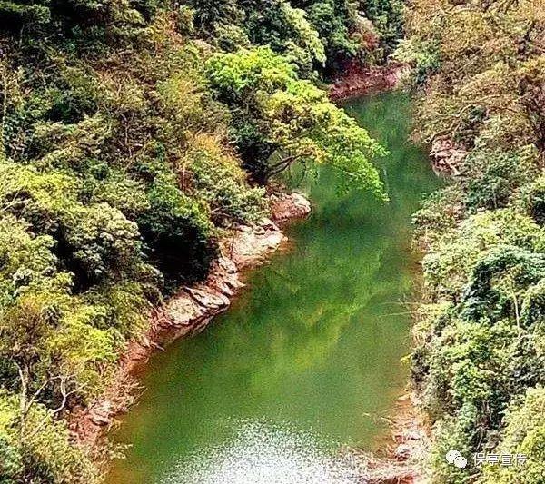 救援环境科学家