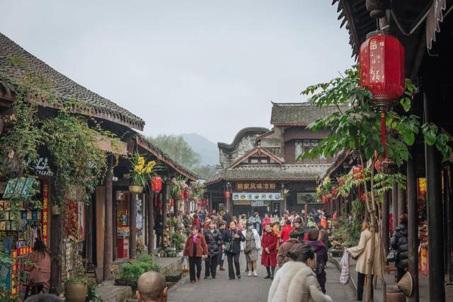 救援小袋熊